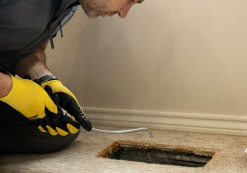 From Dusty to Fresh: Transforming Your Home with Air Vent Cleaning